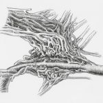 The Role of Clinical Innovation in Advancing Peripheral Vascular Care